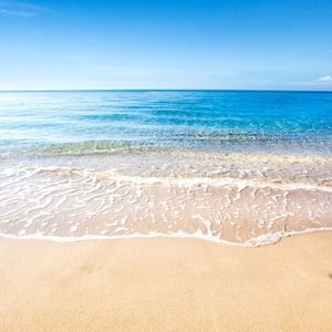 Meet your Posher, Chakib